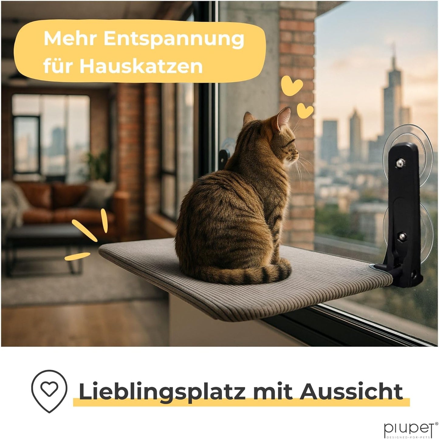 Schwebende Katzenfensterliege mit Saugnäpfen, Grau Gross