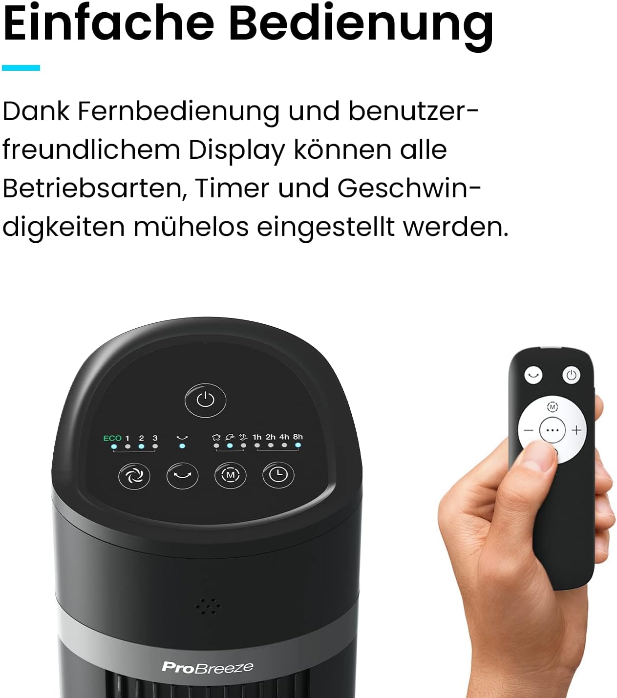 ‎PB-F04B ‎Noir Turmventilator, Schwarz
