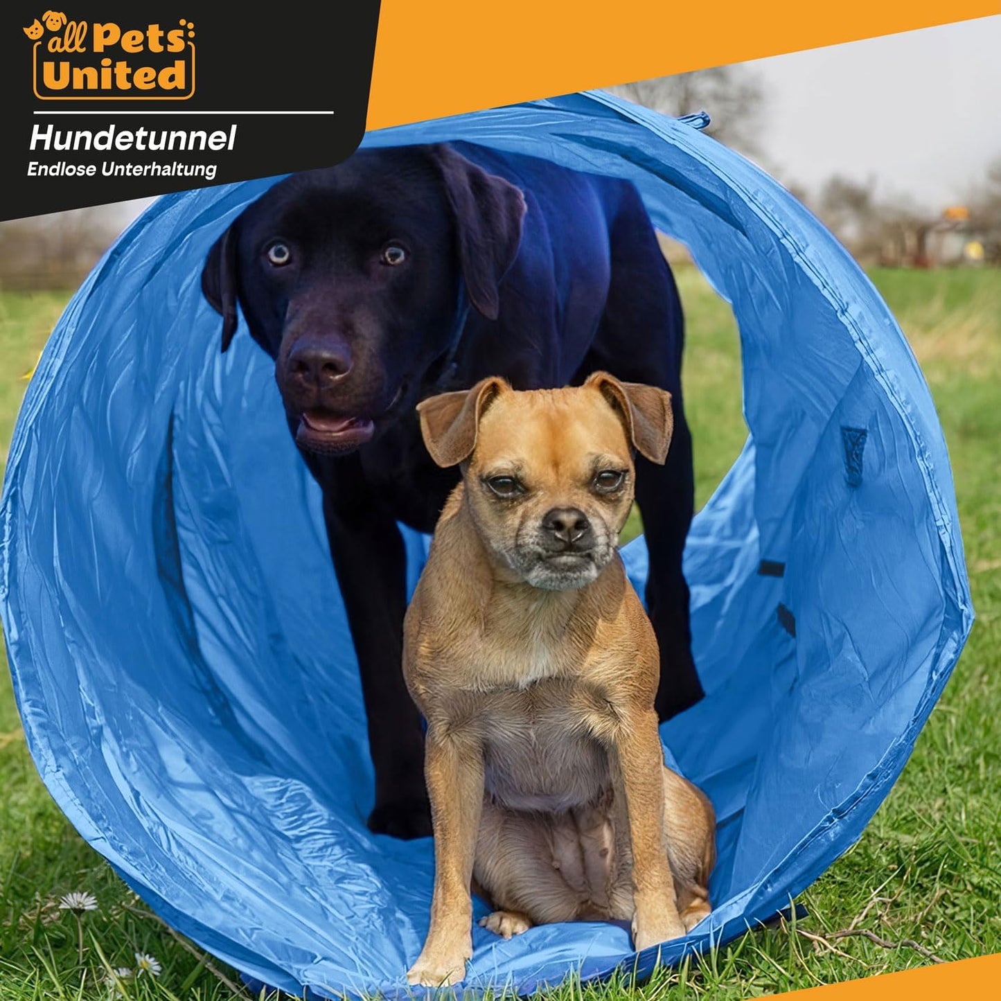 Hundetunnel mit Transporttasche, 200 cm