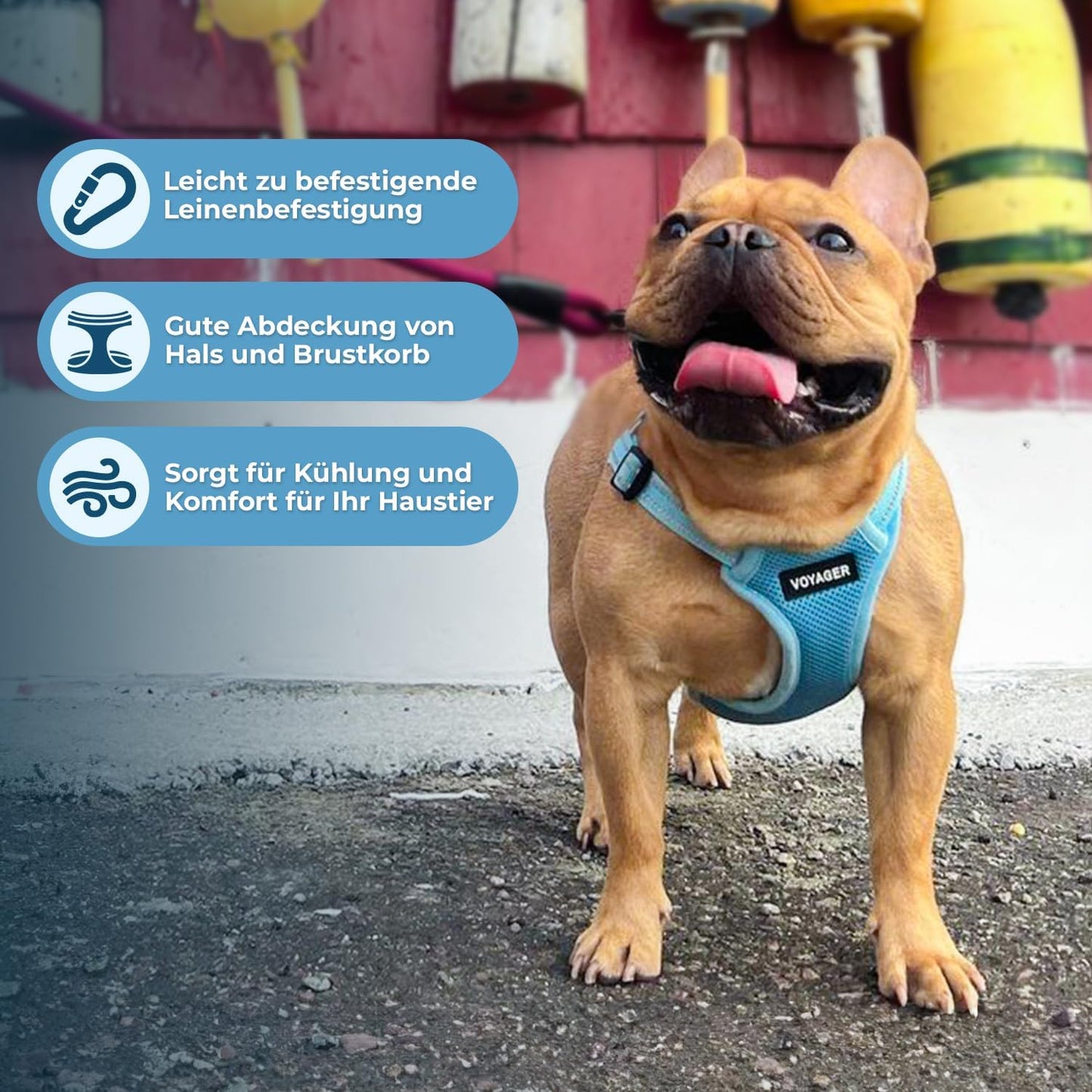 Verstellbares Hundegeschirr mit Reflektorstreifen, Geschirr (Babyblau) S (Chest: 15 - 18")