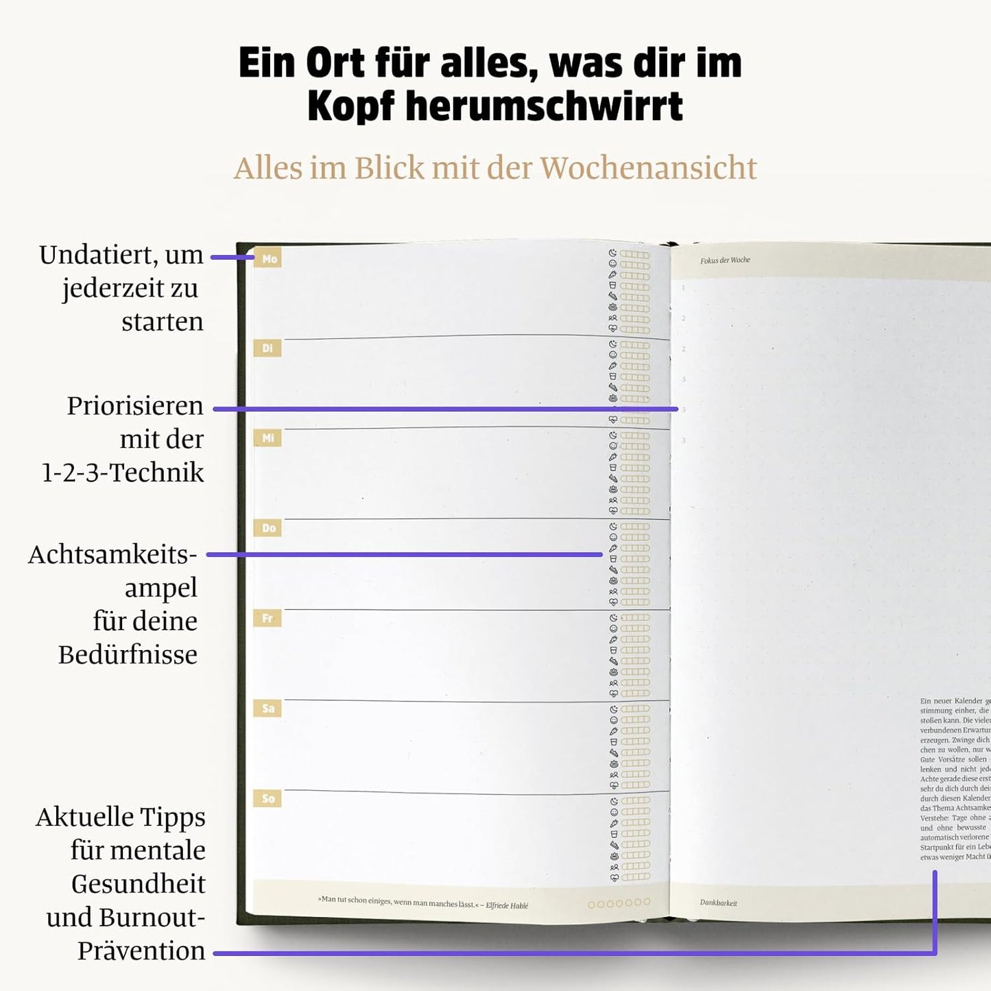 Terminkalender: Ein guter Plan, Wald