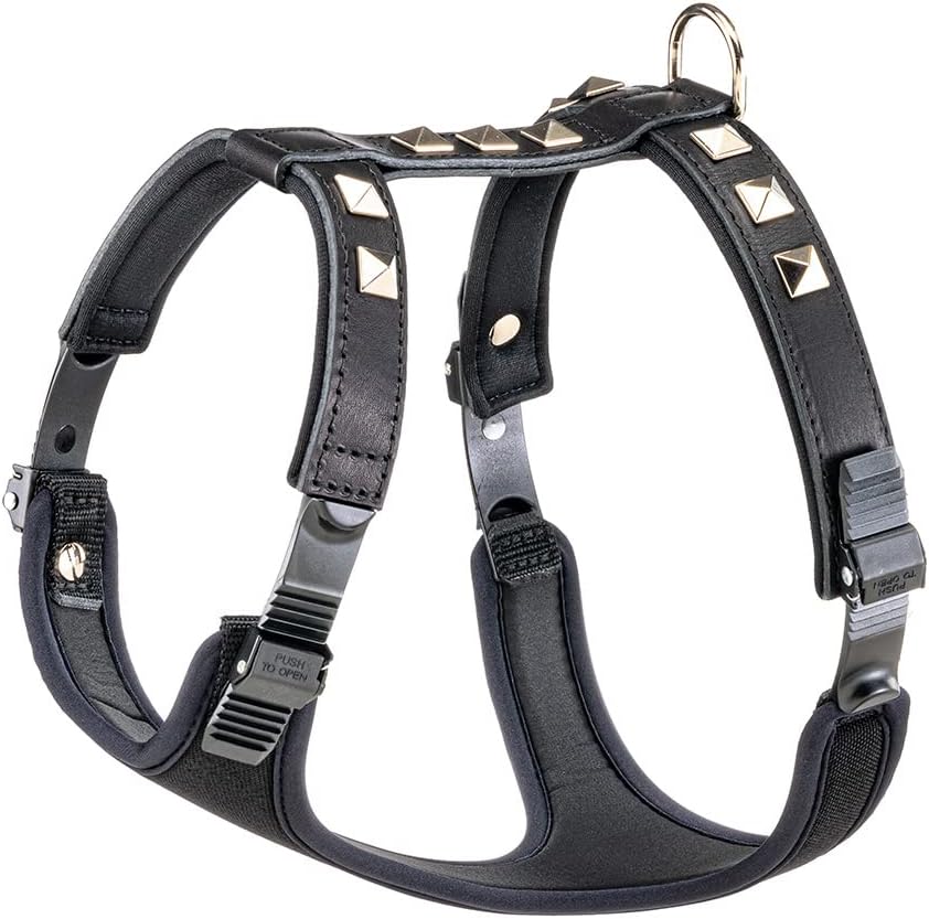 Hundegeschirr aus Leder mit Nieten, schwarz, M