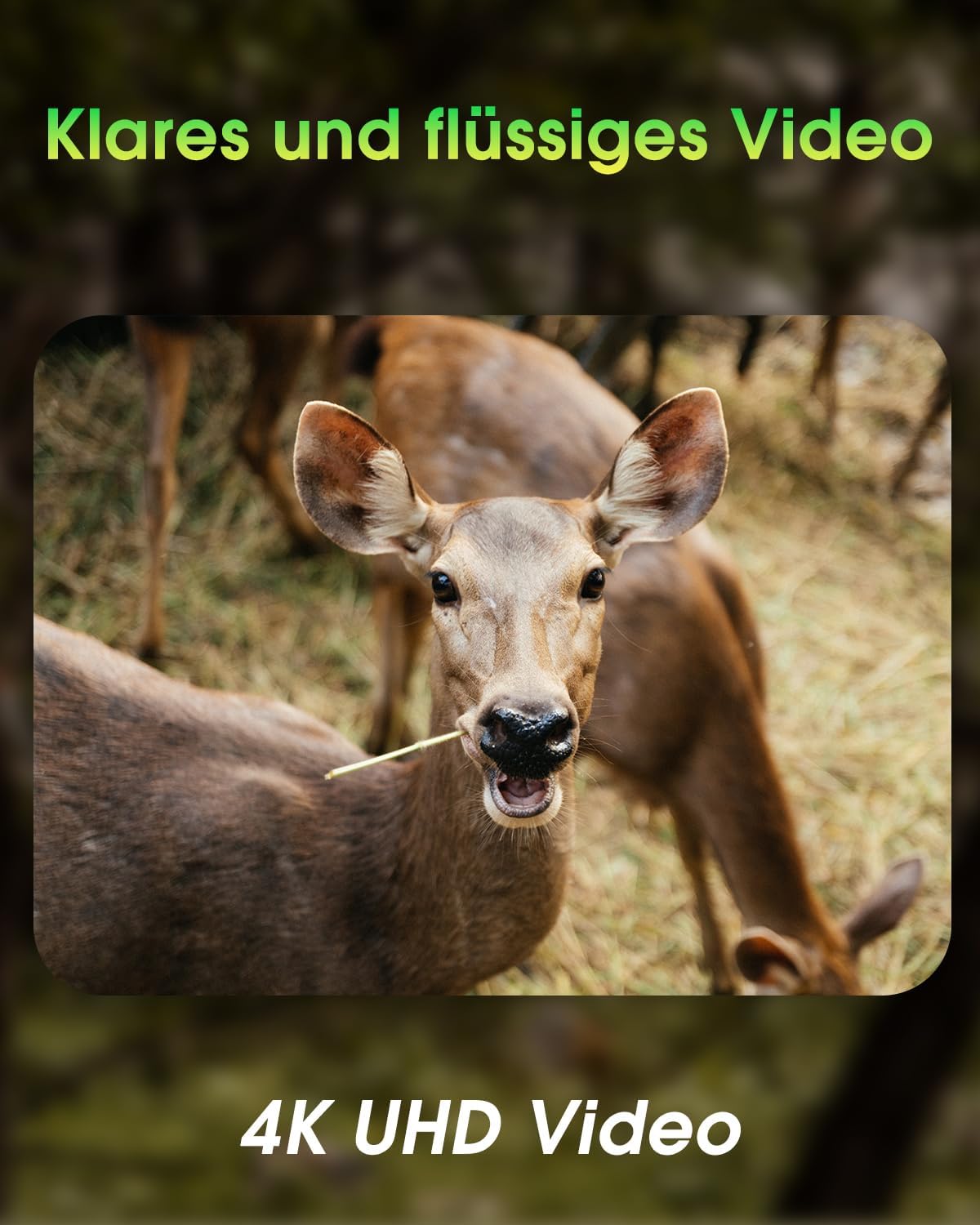 Wildkamera mit WLAN, 4K, Nachtsicht, IP67, 130° Winkel, Armeegrün