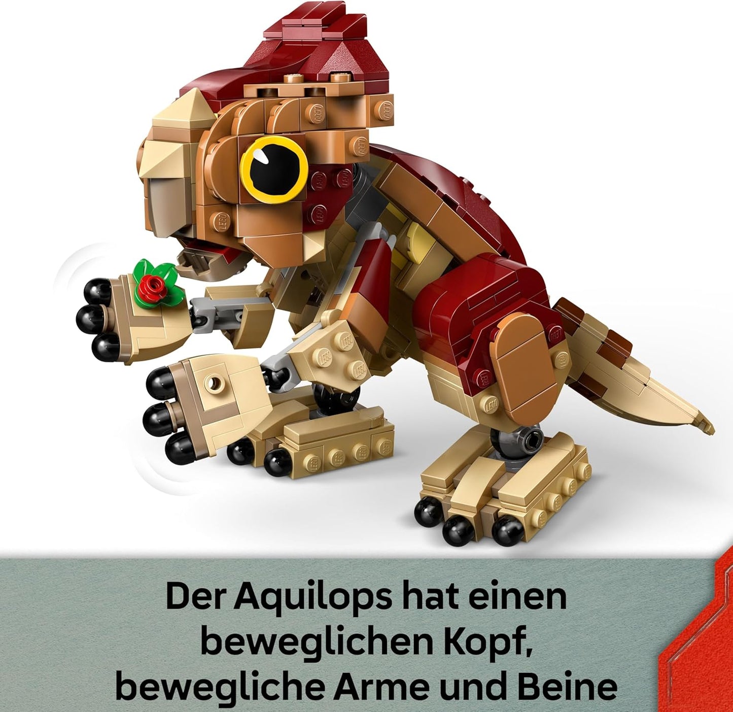 Babydinosaurier Dolores: Aquilops