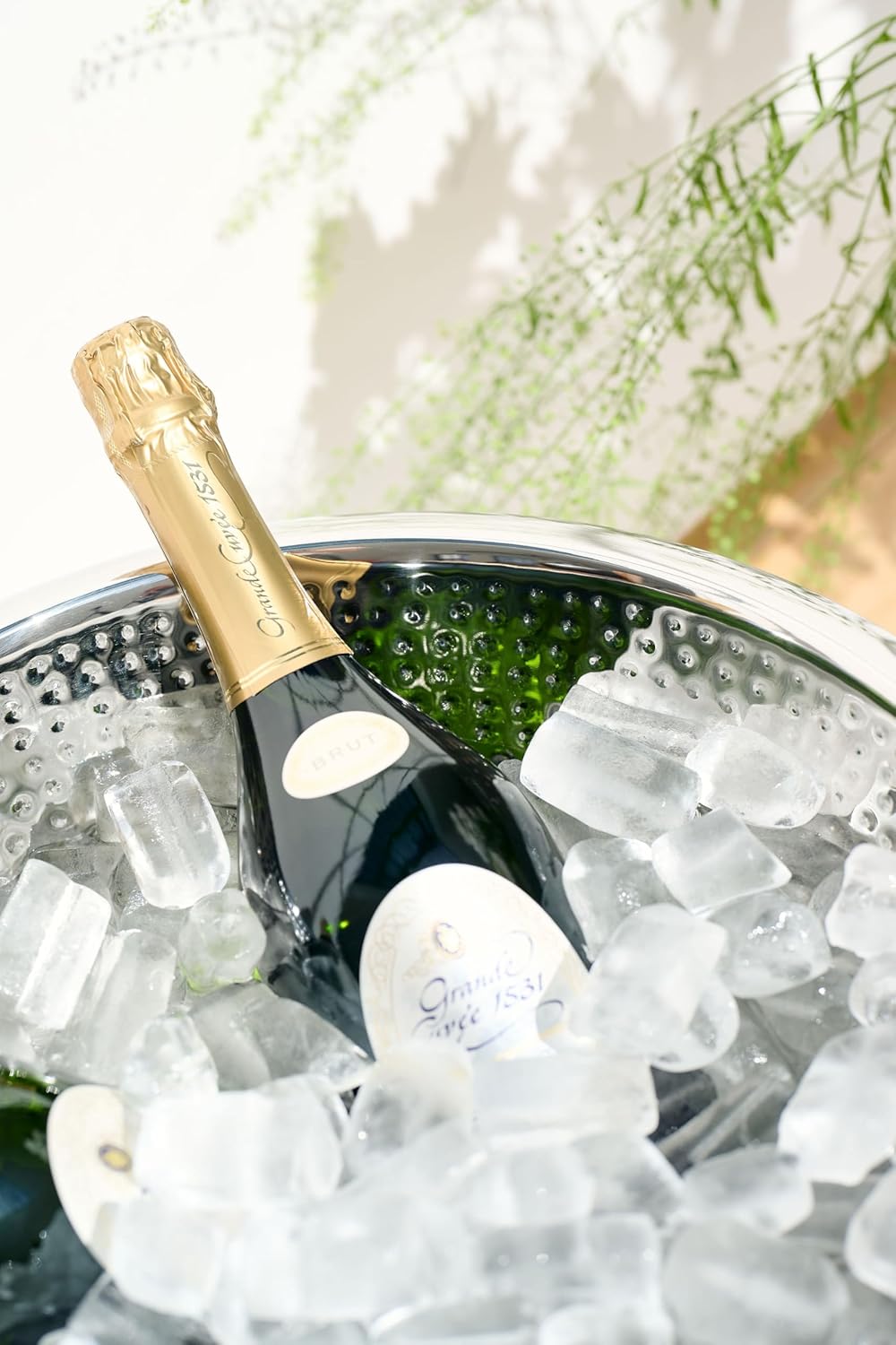Champagnerkühler Cadiz