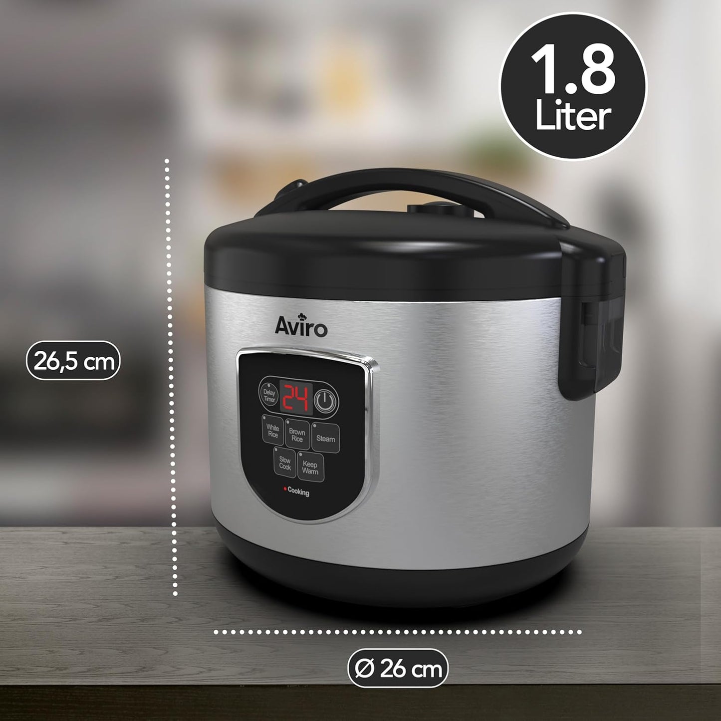 Reiskocher & Slow Cooker