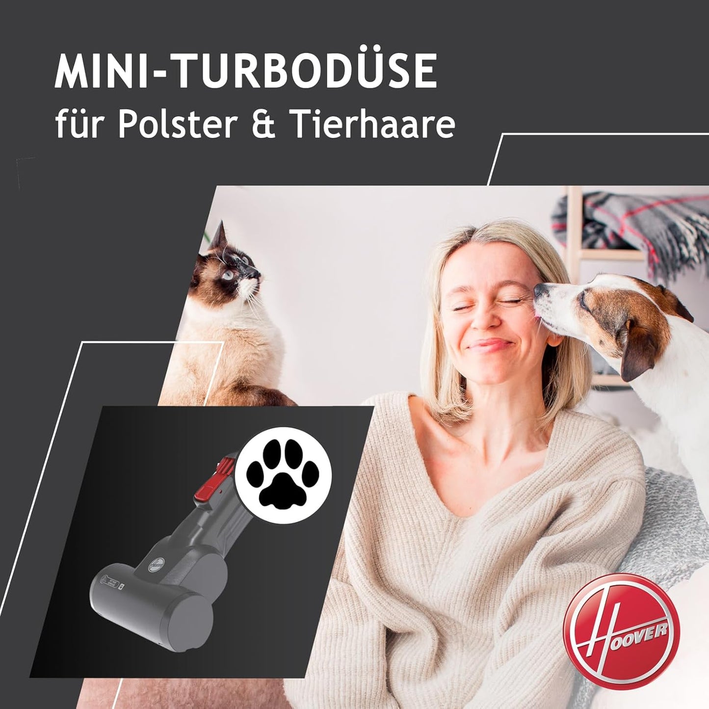 Akkustaubsauger H-Free 100 mit Turbo Boost, Pet