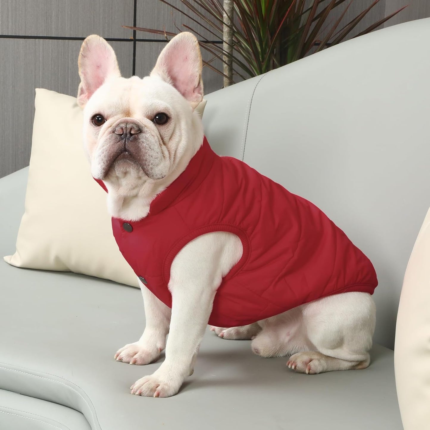 Mit Fleece gefütterte Hundejacke für kaltes Wetter, M Rot
