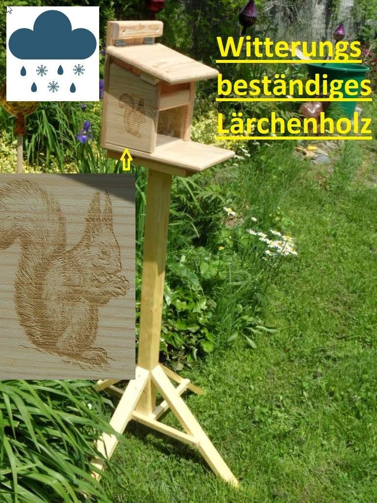 Eichhörnchenfutterhaus