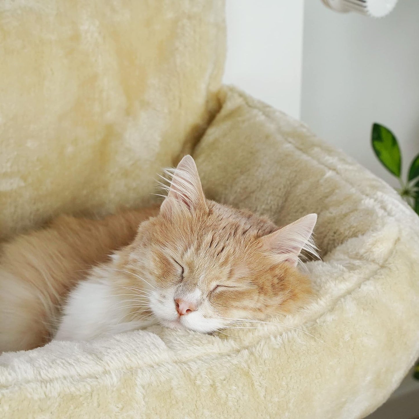 Katzenbett
