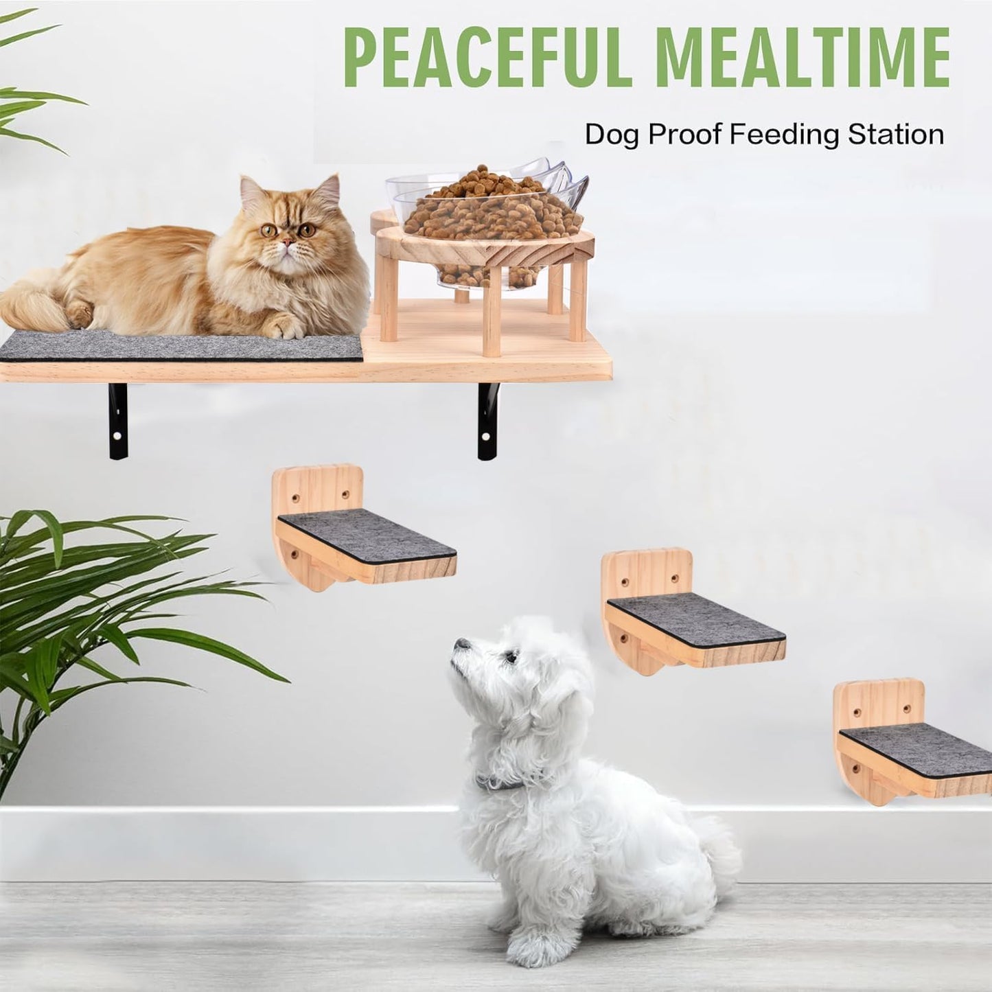 Katzenwand-Set mit Hängematte und Futterschalen
