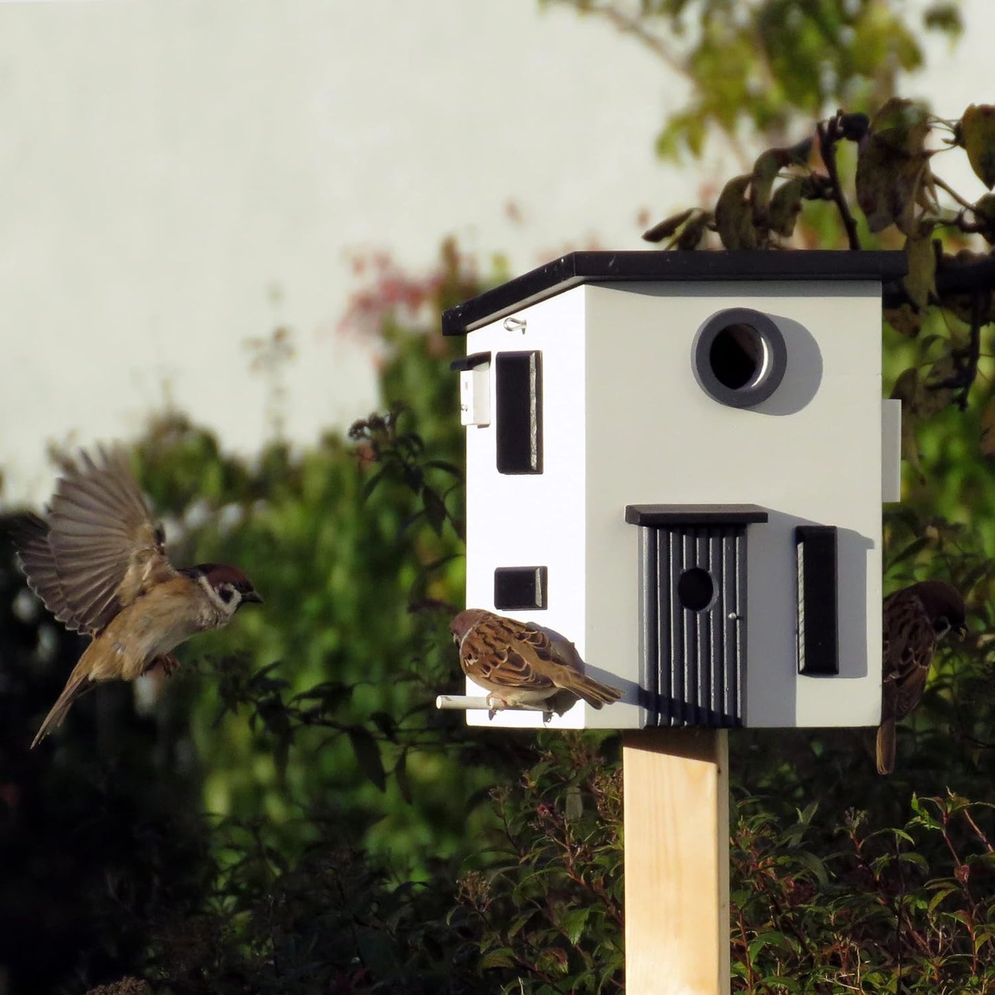 WG108 Vogelfutterhaus und Nistkasten
