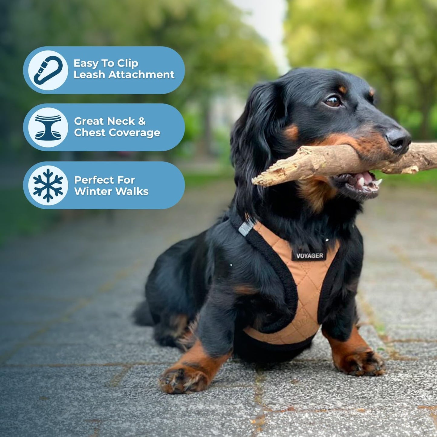 Step-In Plüsch-Hundegeschirr, M (Chest: 16 - 18") Geschirr (beiger Plüsch)