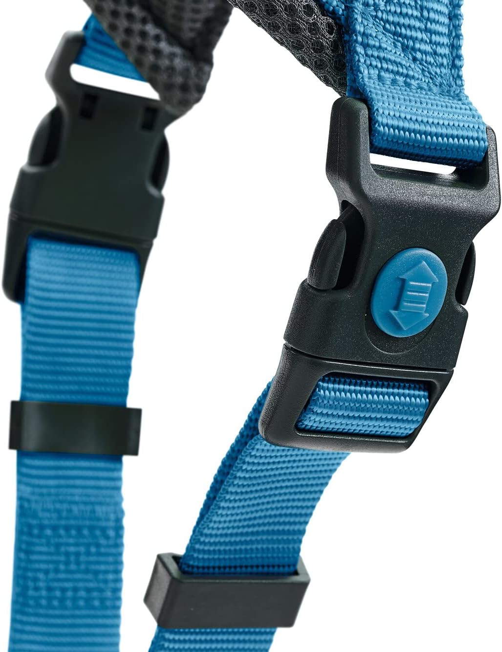 Hundegeschirr London Comfort, hellblau M