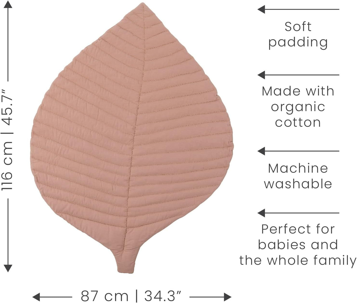 Blattförmige Krabbeldecke, Leaf Mat Sea Shell