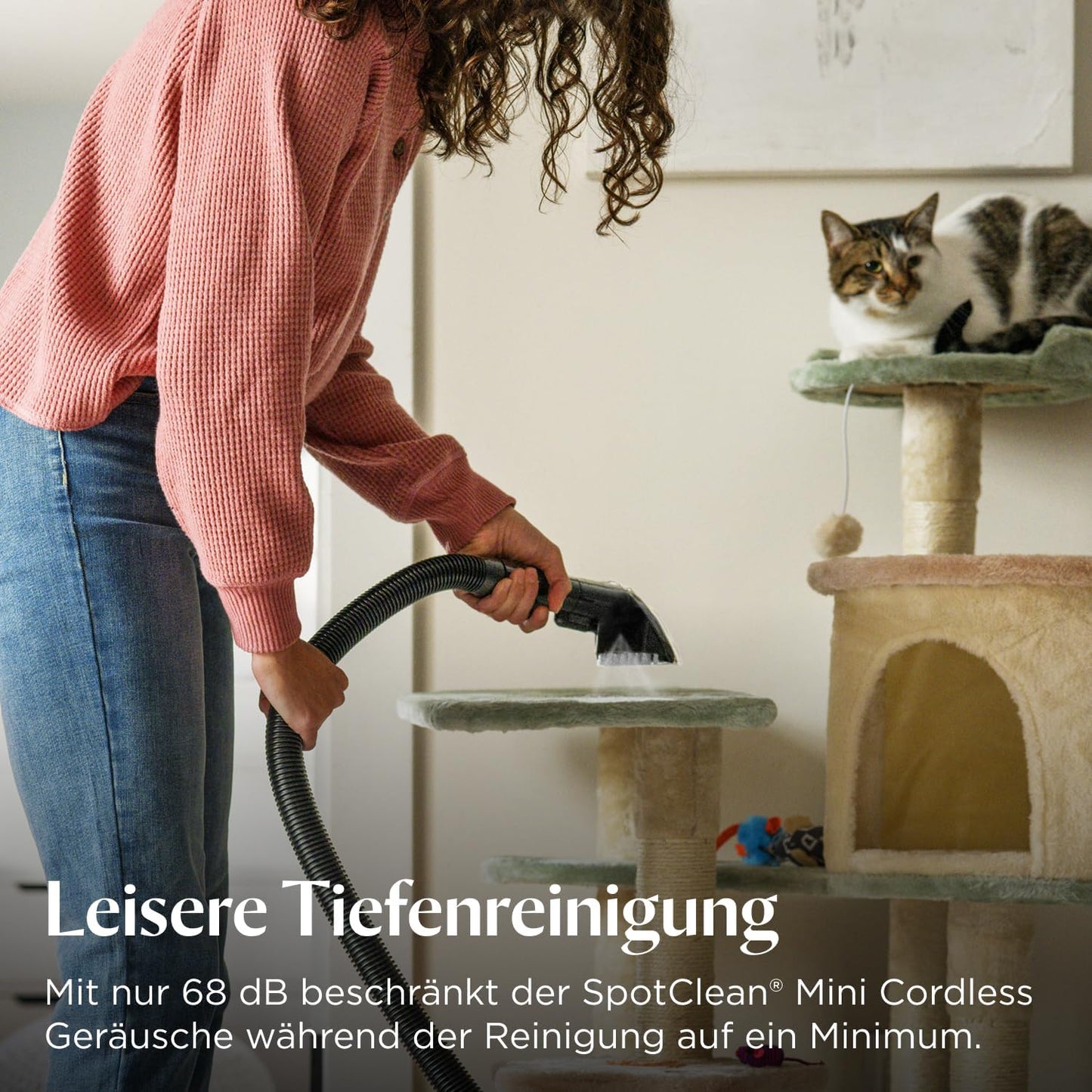 Akku Polster- & Teppichreiniger, Cordless (Compact)