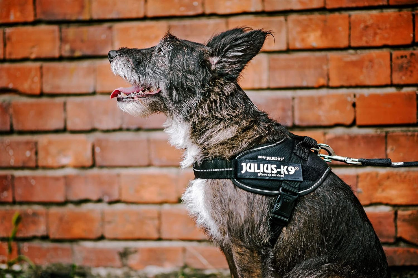 IDC Powair Hundegeschirr, Blau S/Mini