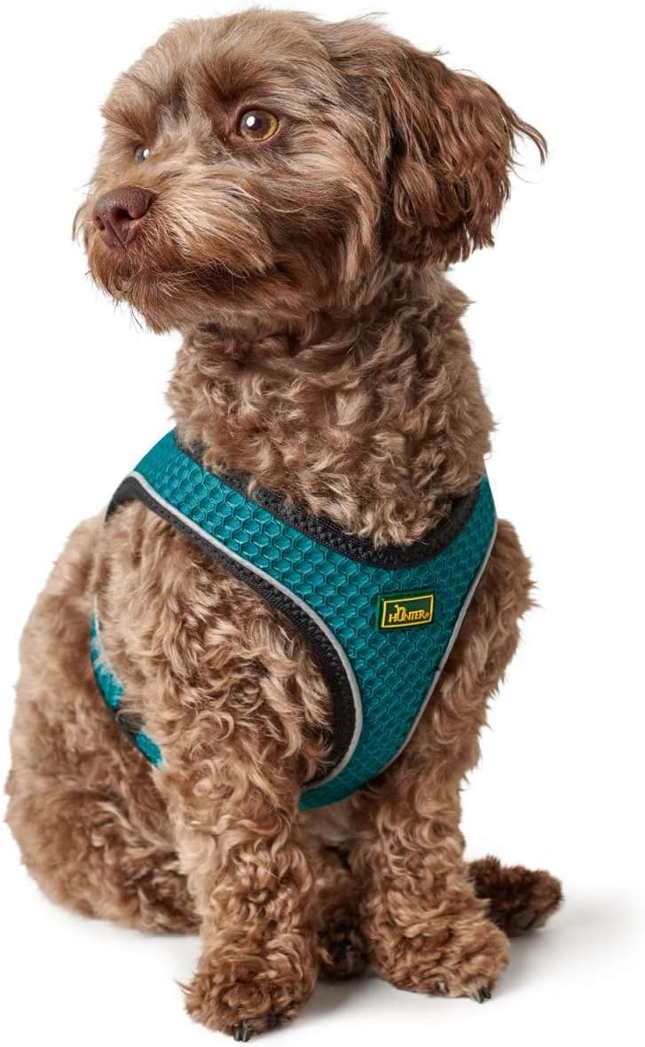 Hundegeschirr Hilo Comfort, Türkis / S