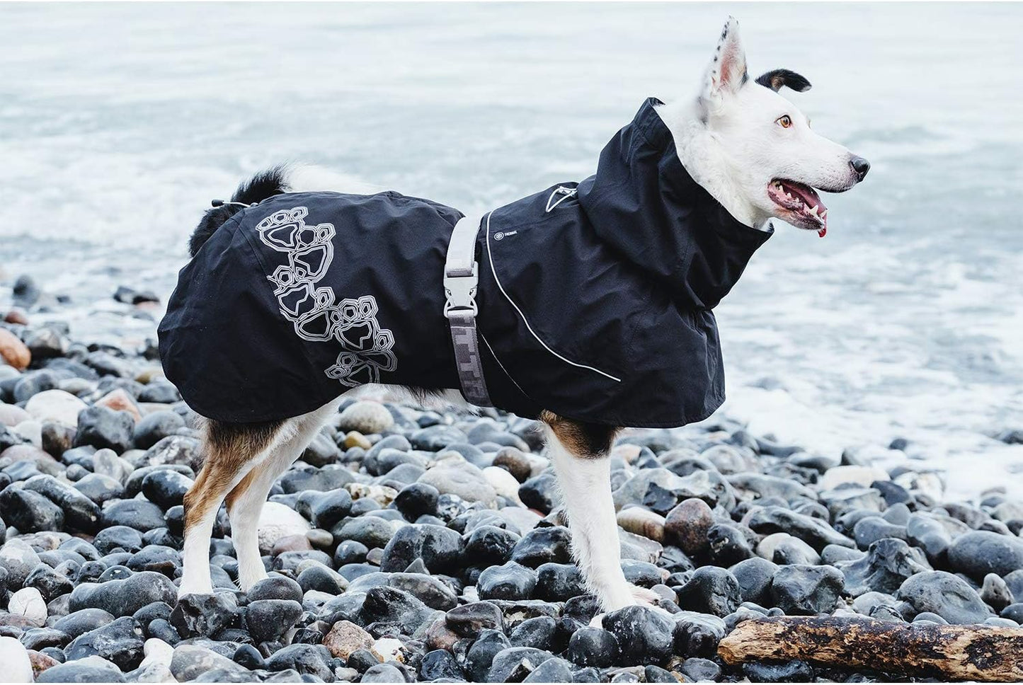 Wasserdichte Regenjacke für Hunde mit Reflektoren, Schwarz (Raven), 32 in, 1