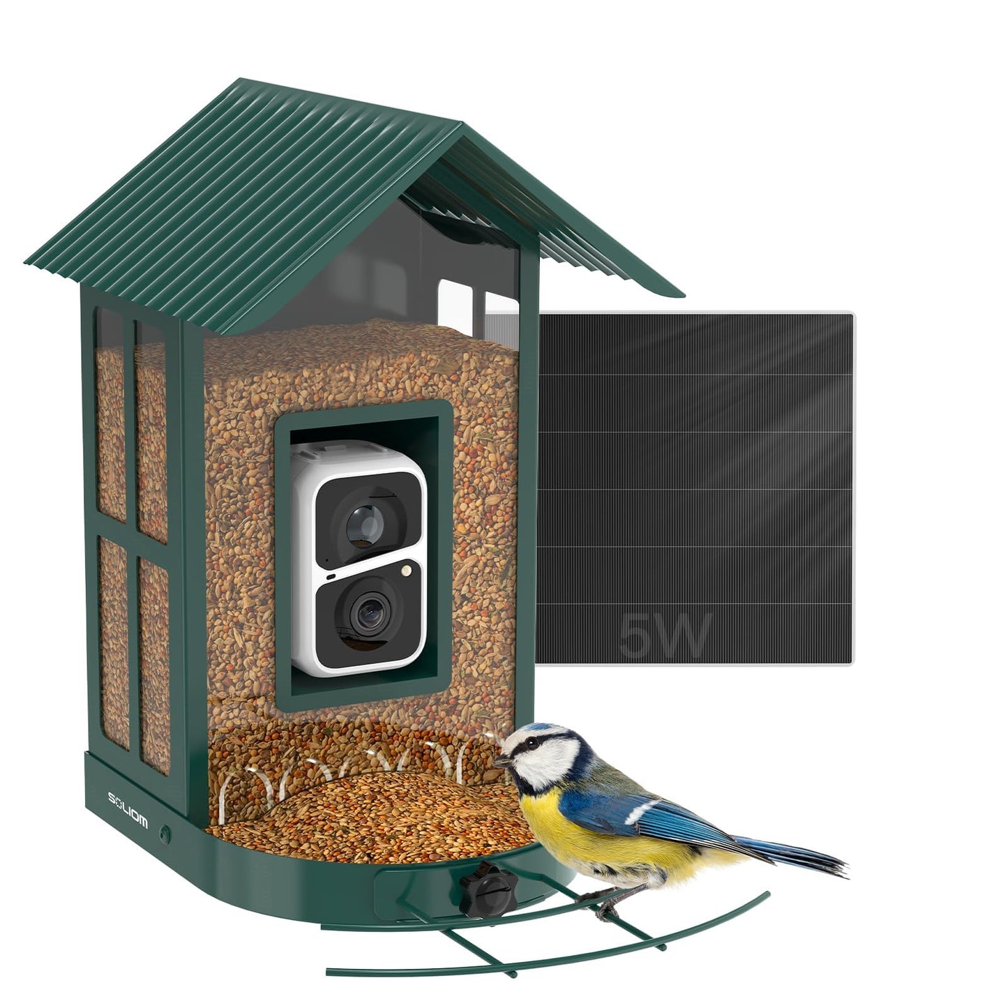 Vogelhaus mit Kamera, Grün