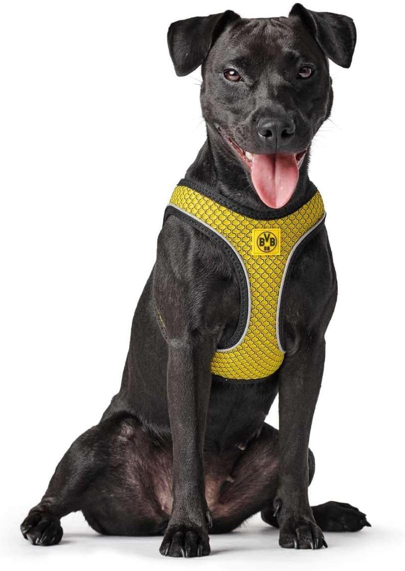 HILO COMFORT BVB Hundegeschirr, gelb 65 - 70 cm