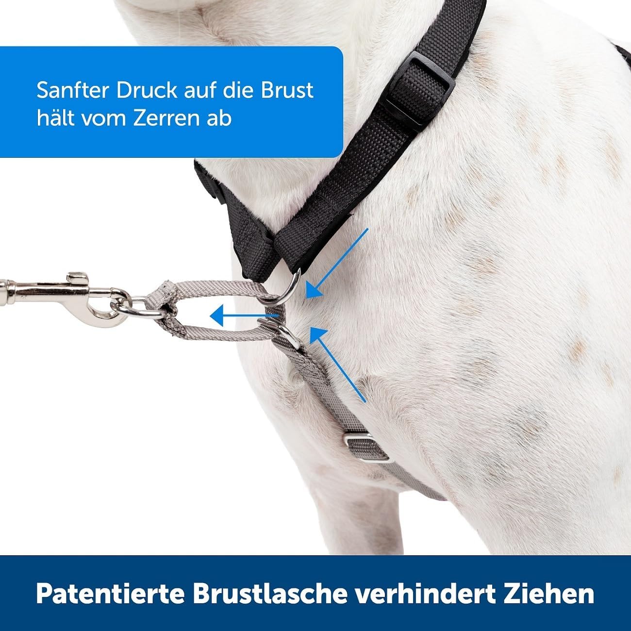 3-in-1-Geschirr und Rückhaltegurt, L
