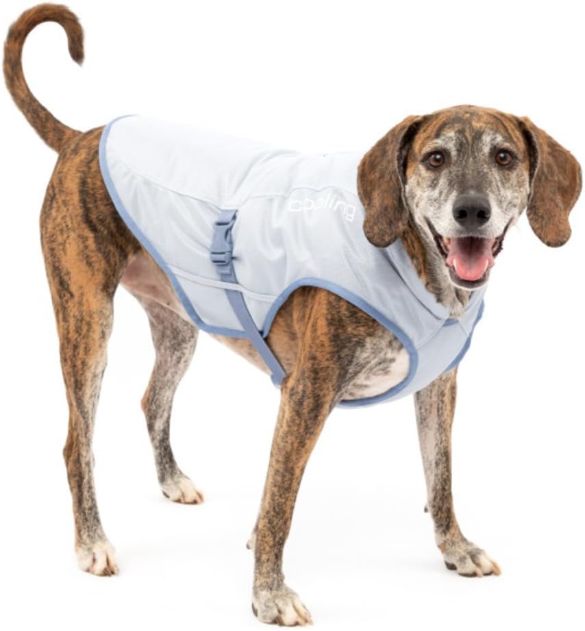 Kühlweste für Hunde, L