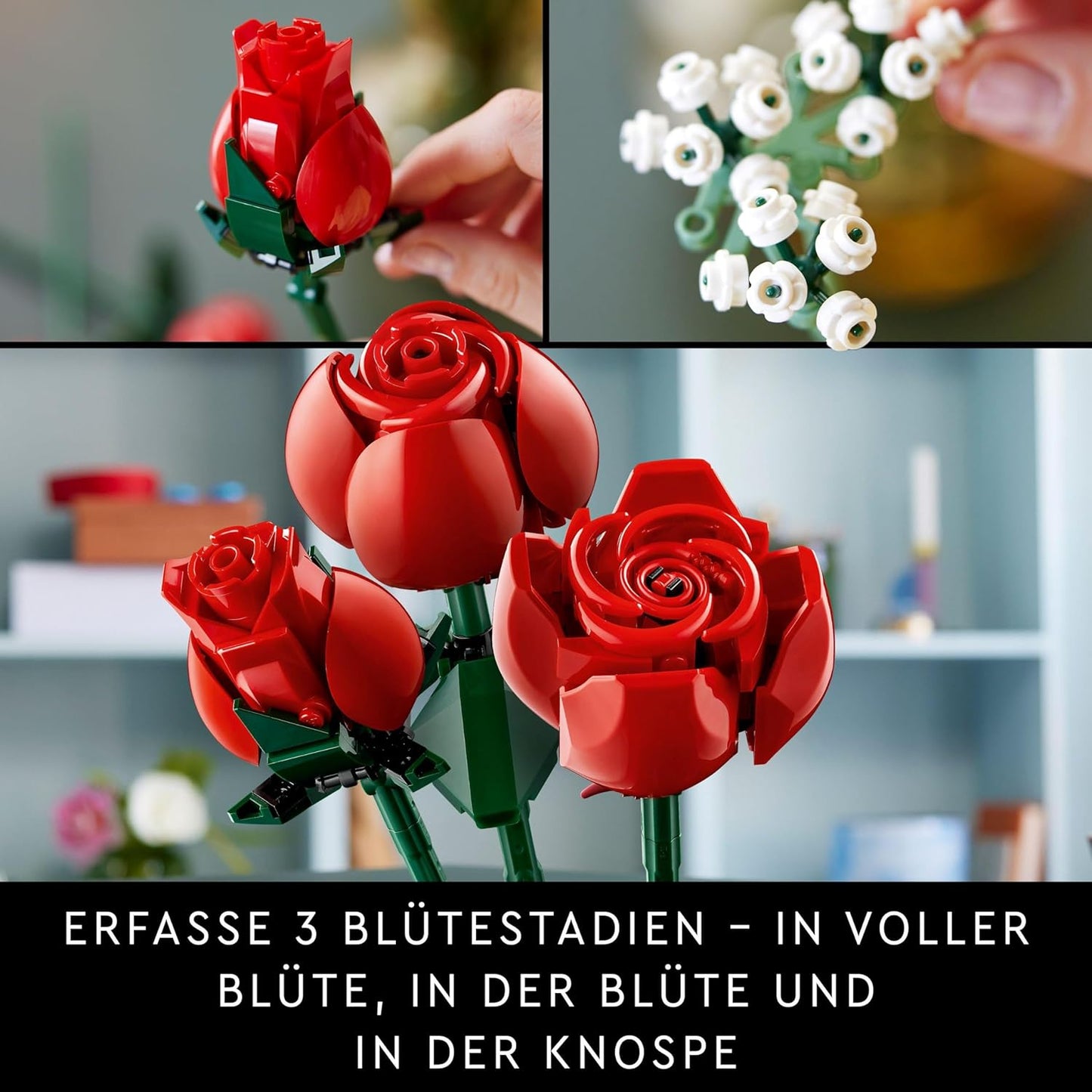 Botanicals Rosenstrauss, Single