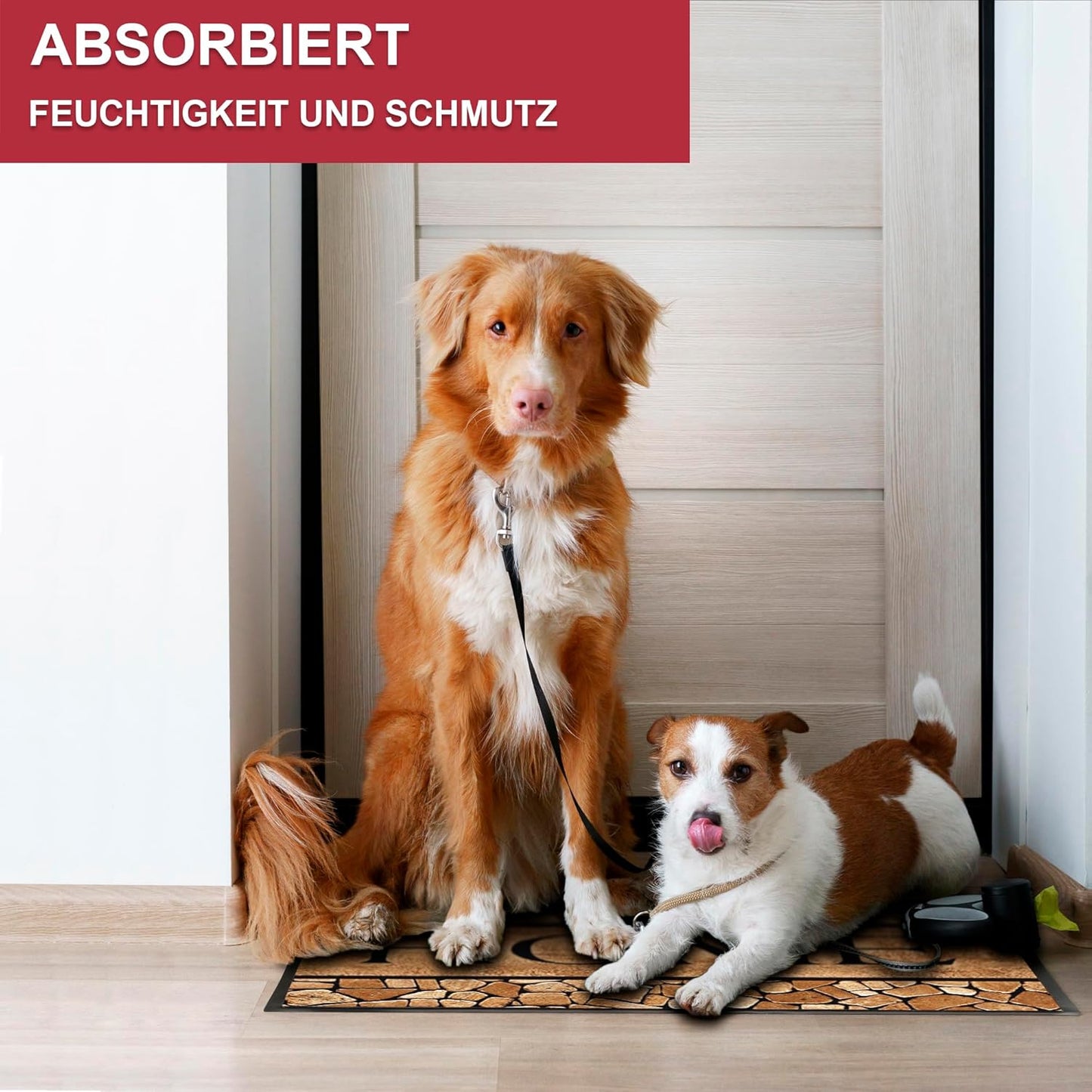 Schmutzfangmatte, Home 4 60 x 80 cm (Rechteckig)