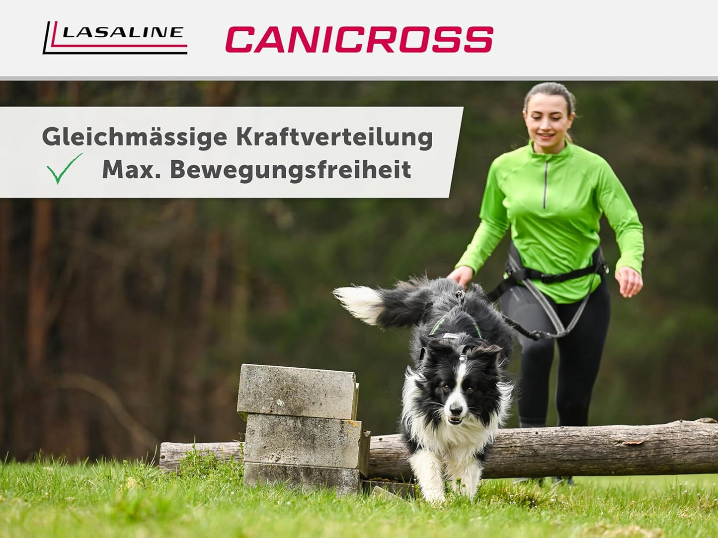 Zuggeschirr X-Back, L