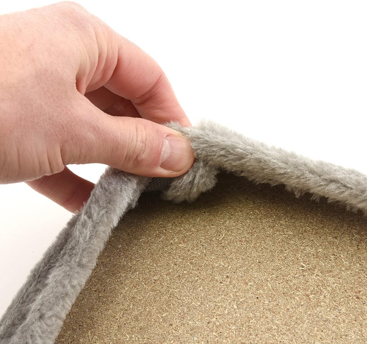 Katzen Fensterliege