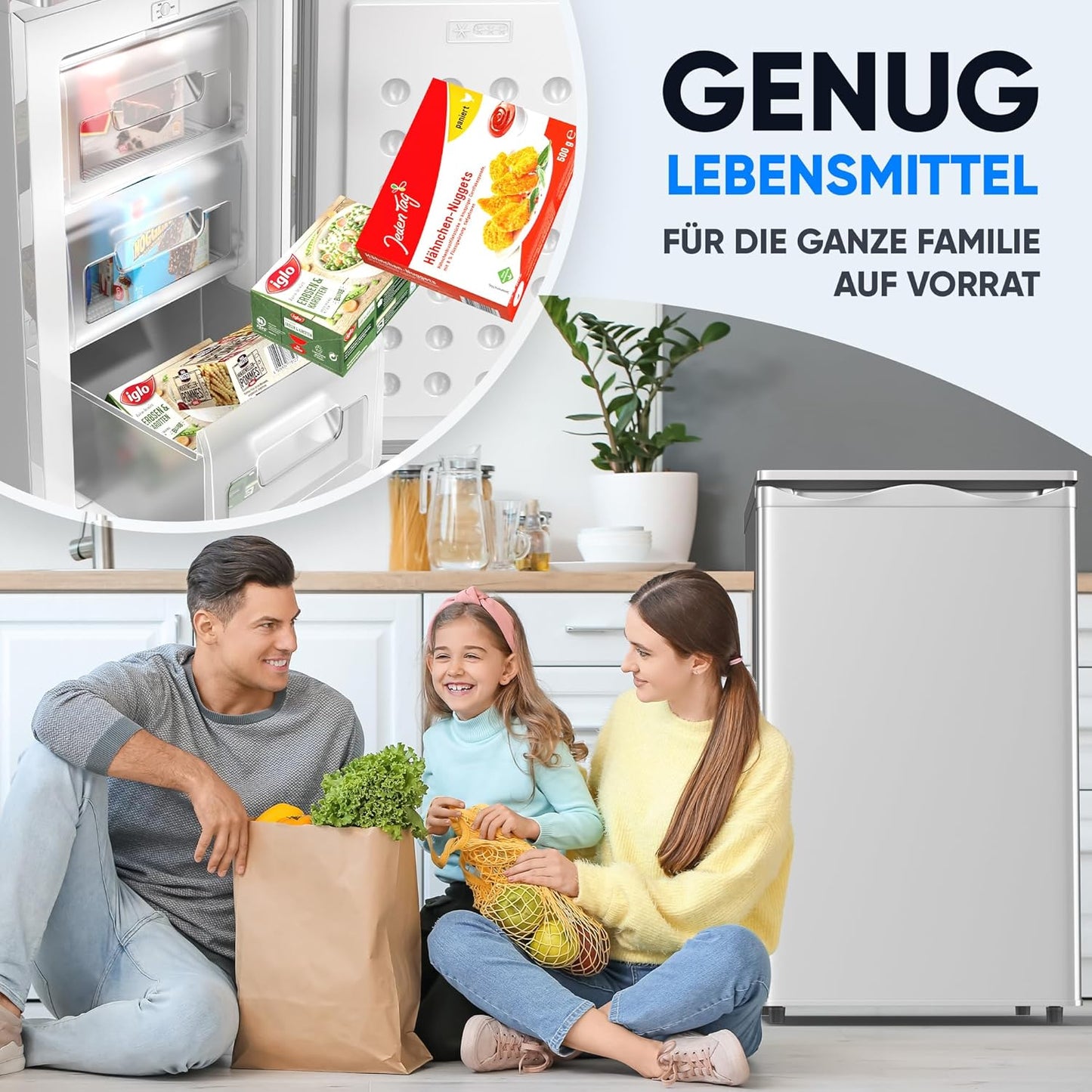 Mini Gefrierschrank mit 3 Fächern (73L), Silber