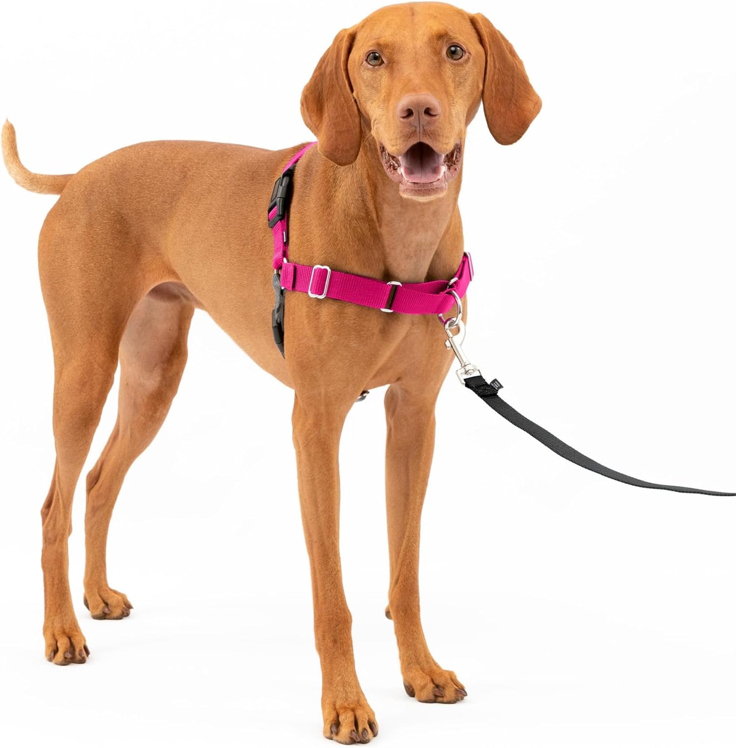 Anti-Zieh-Hundegeschirr mit Leine, M Rosa