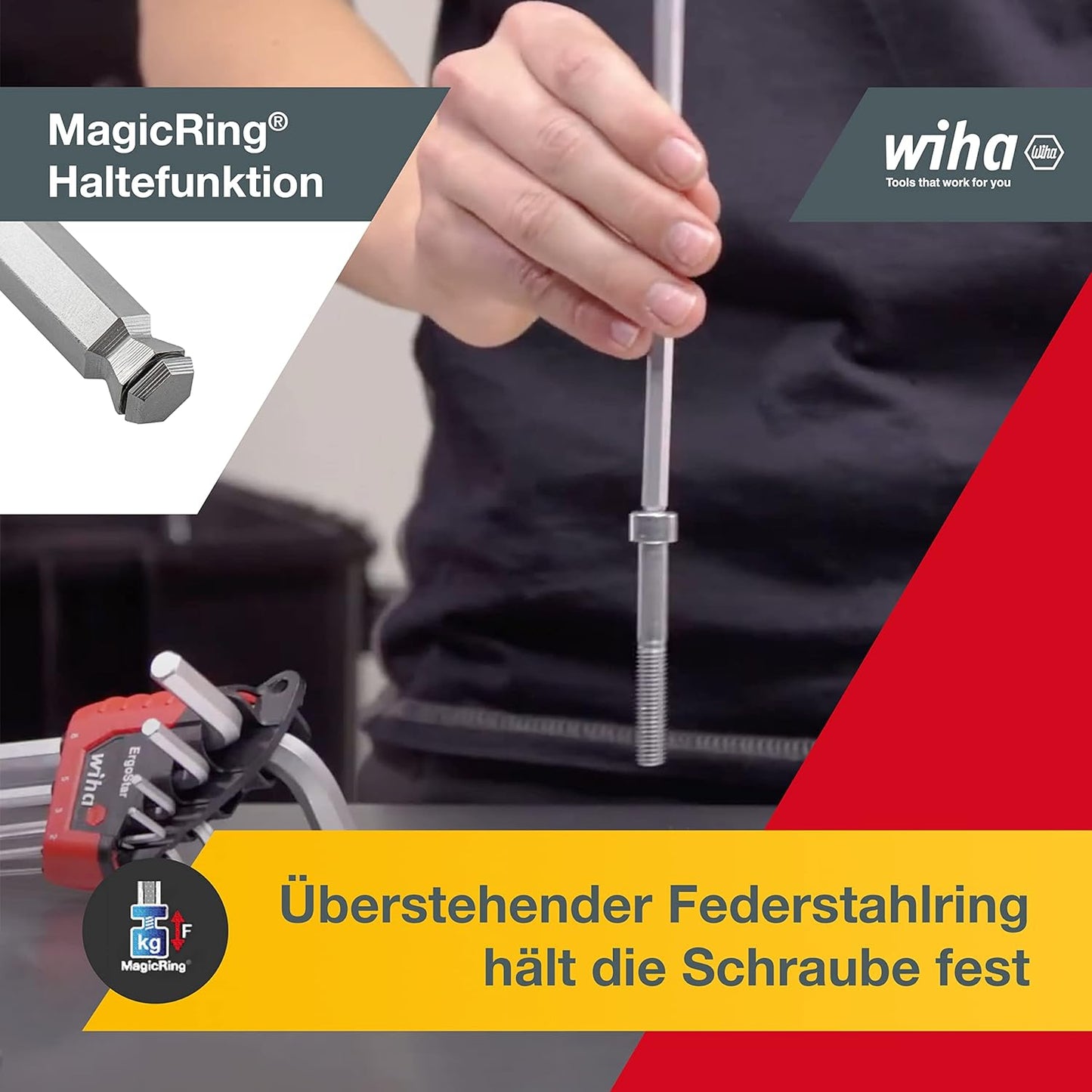 Innensechskant Set im ErgoStar Halter, lose verpackt