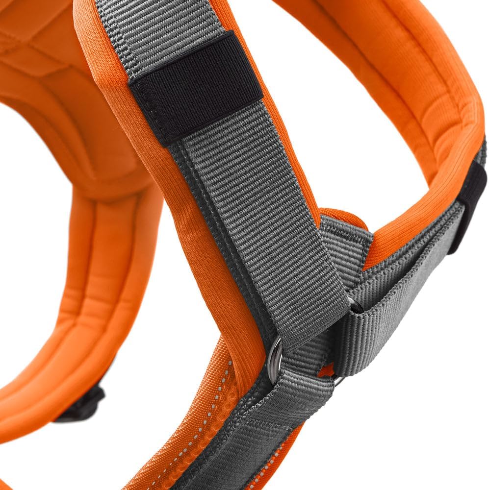 Hundegeschirr Maldon UP, weich gepolstert, reflektierend, orange/grau XS-S