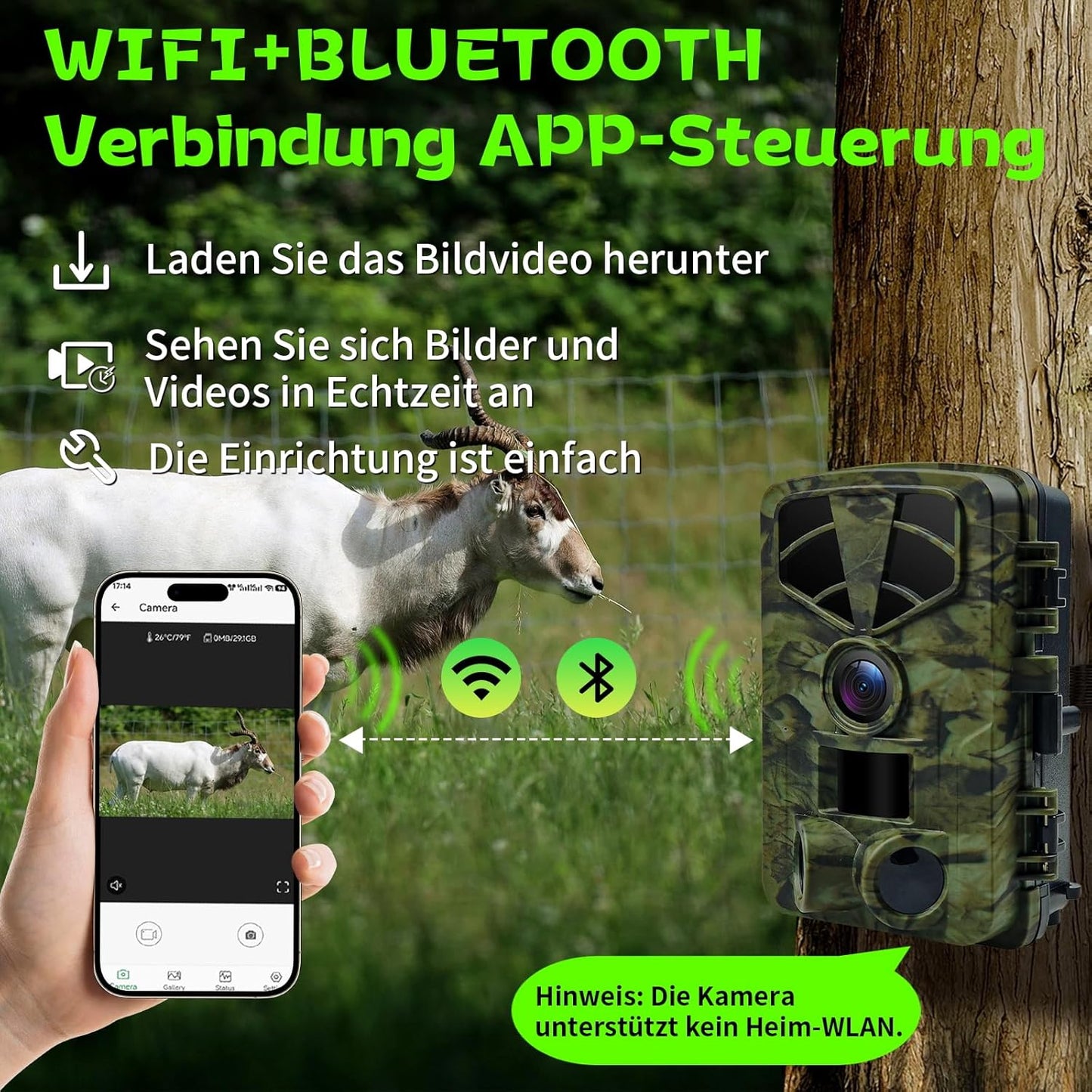 Wildkamera mit Nachtsicht