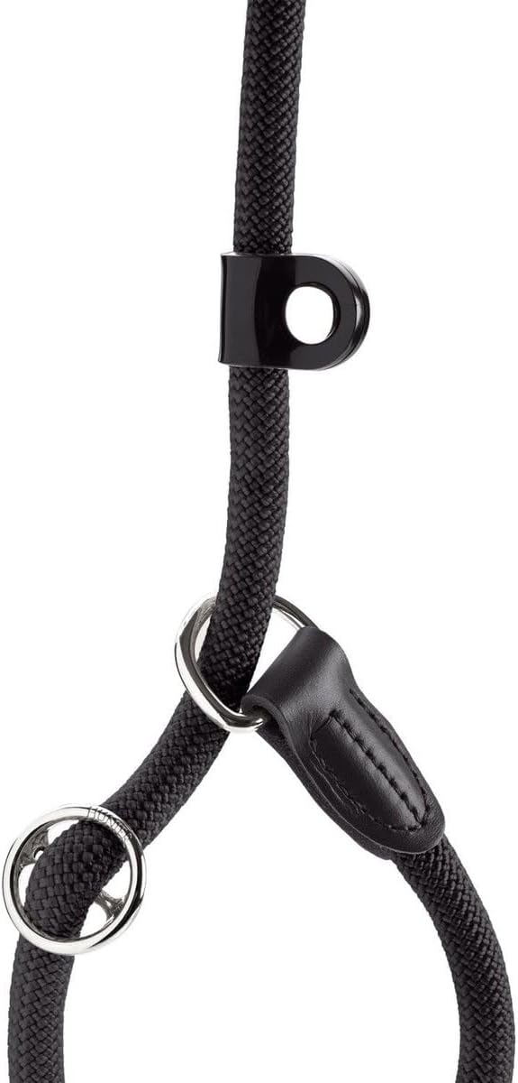 Retriever-Hundeleine, schwarz 8/120