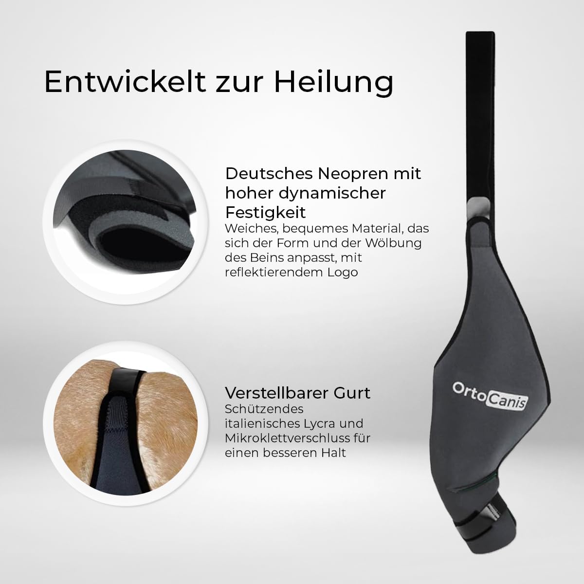 Kniebandage für Hunde bei Bänderverletzungen XX-Large, Rechtes Bein XX-Large (42 – 47 cm)