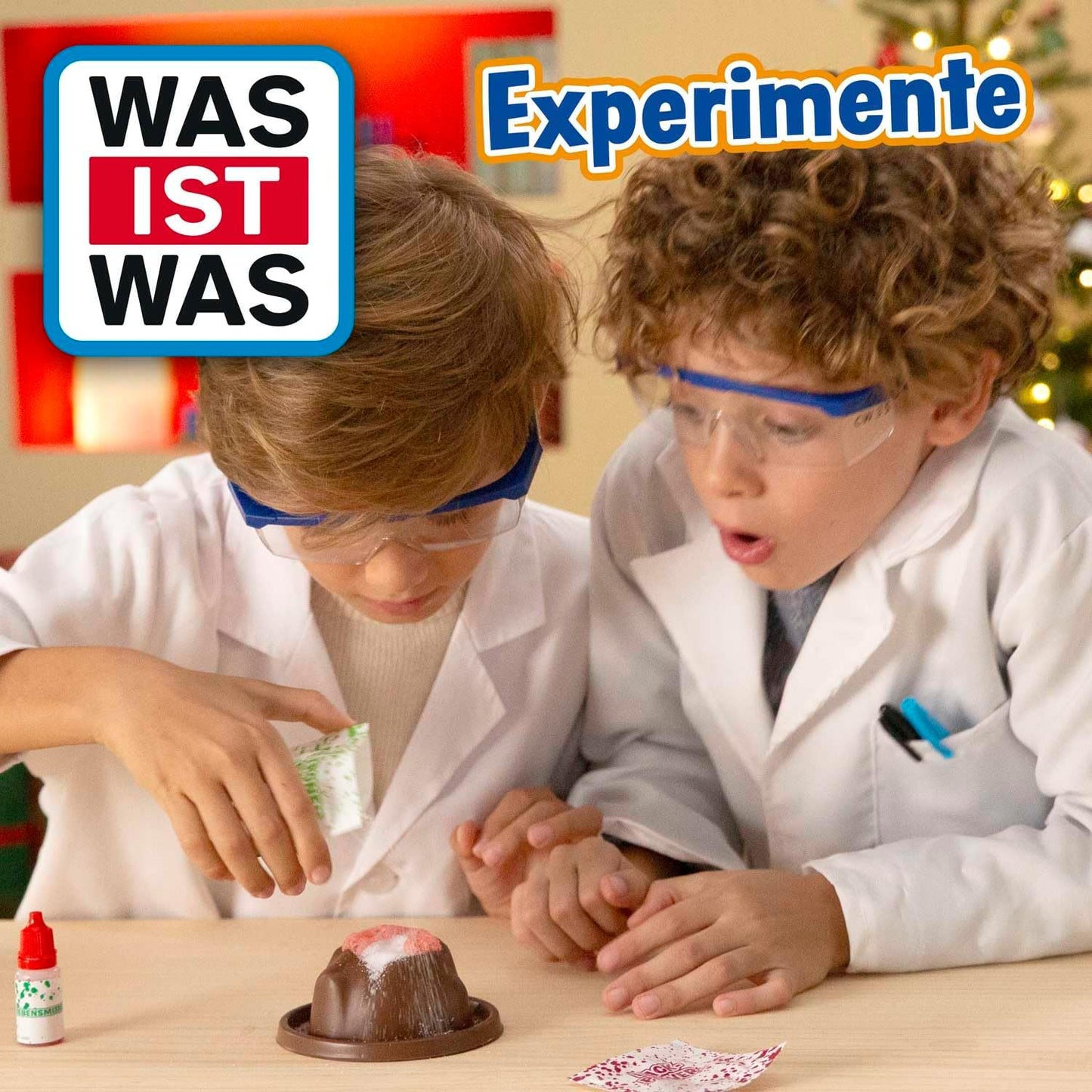 Adventskalender mit Experimenten, Adventskalender Was ist was?