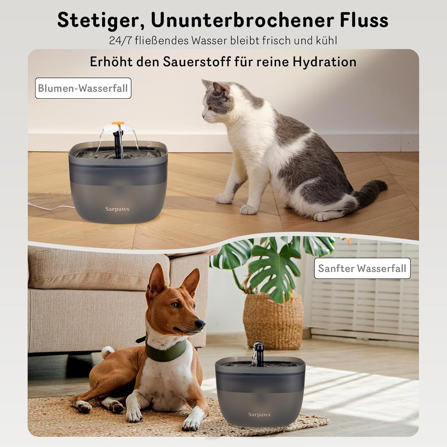 Katzenfutter- und Wasserspender FW1 mit Timer, Black