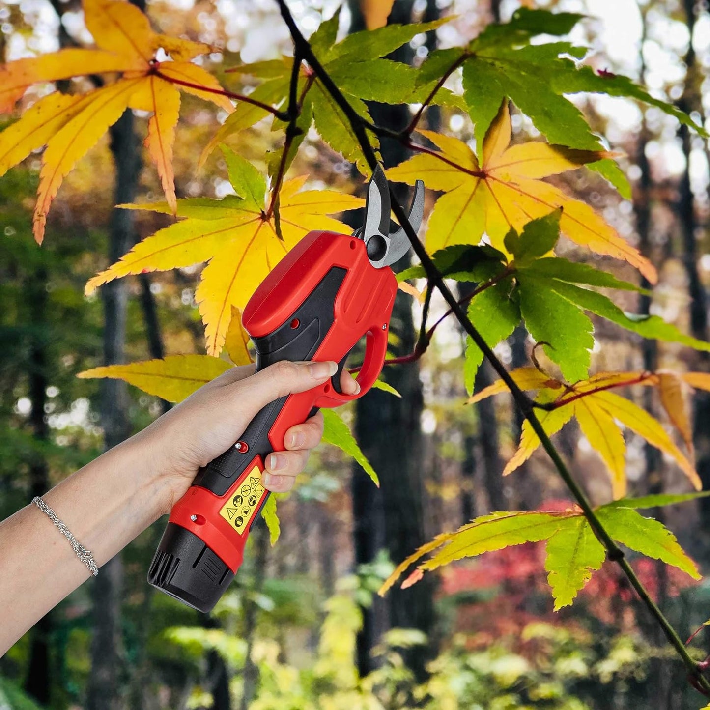 Elektrische Gartenschere mit Teleskopstiel, Gartenschere mit Teleskopstiel