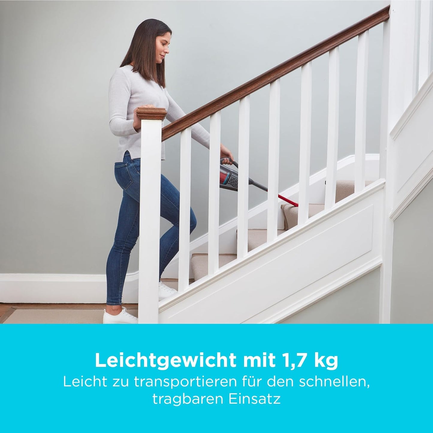 BHHV 315 B Handstaubsauger, Handstaubsauger