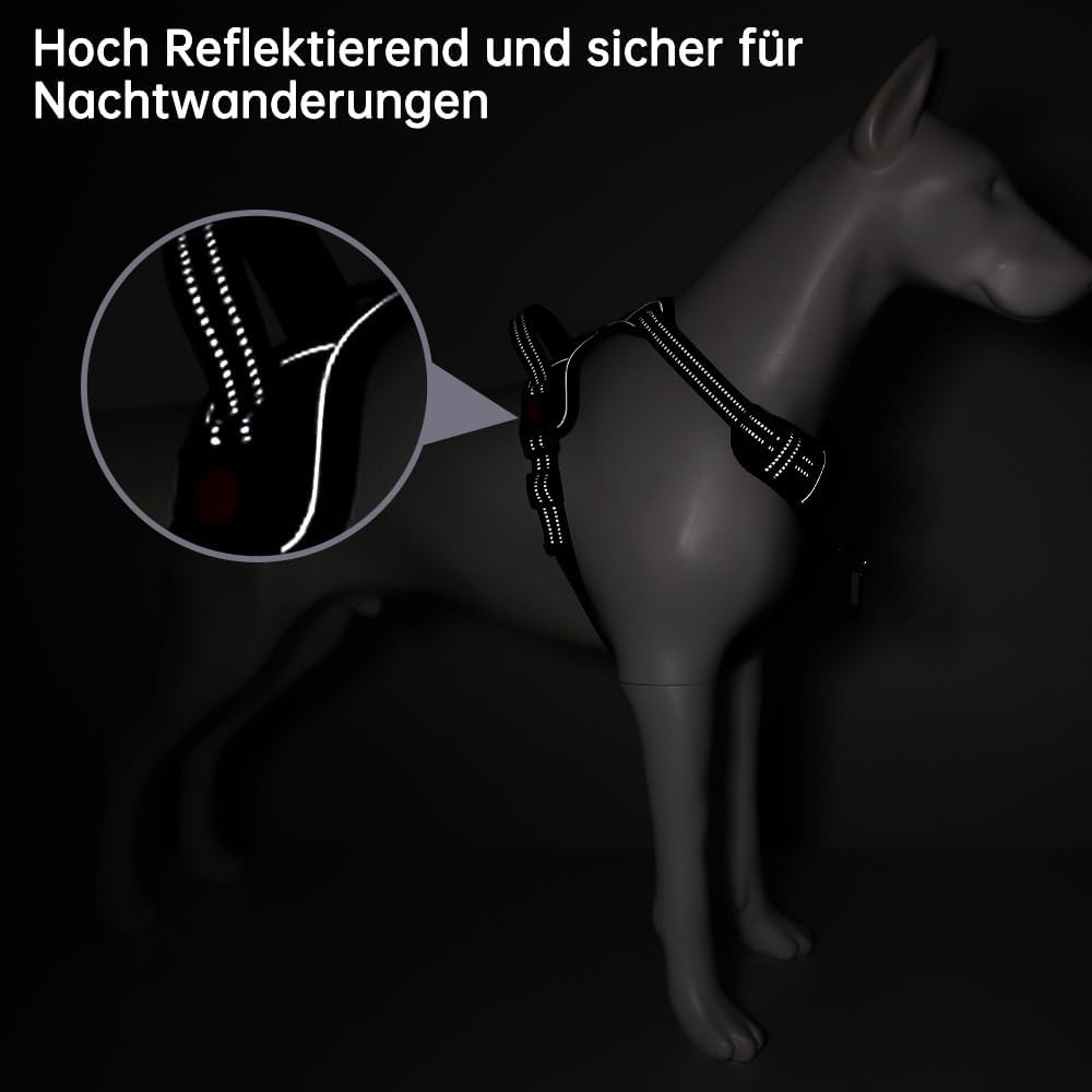 Hundegeschirr-Set inkl. Leine mit Reflexstreifen, M
