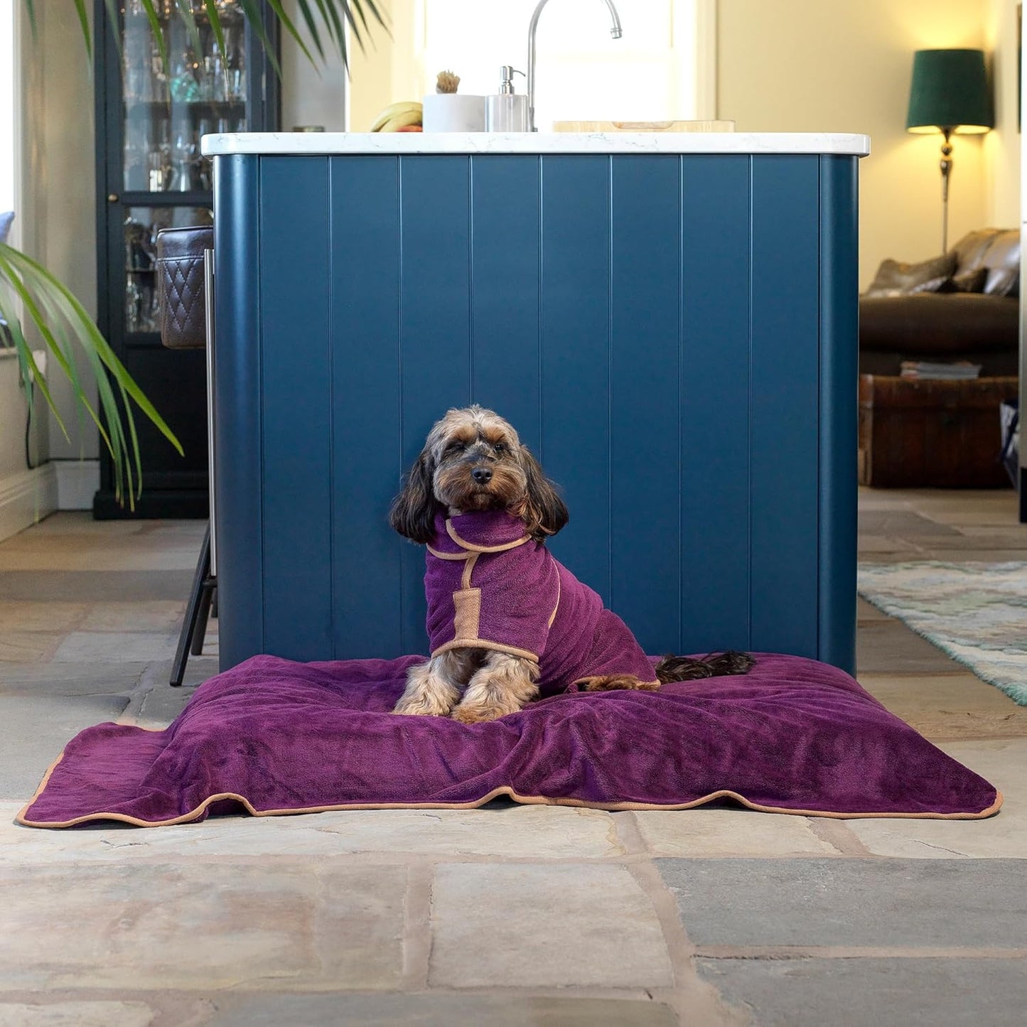 Hundebademantel, GIANT Pflaume