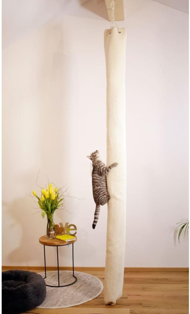 Climber, beige