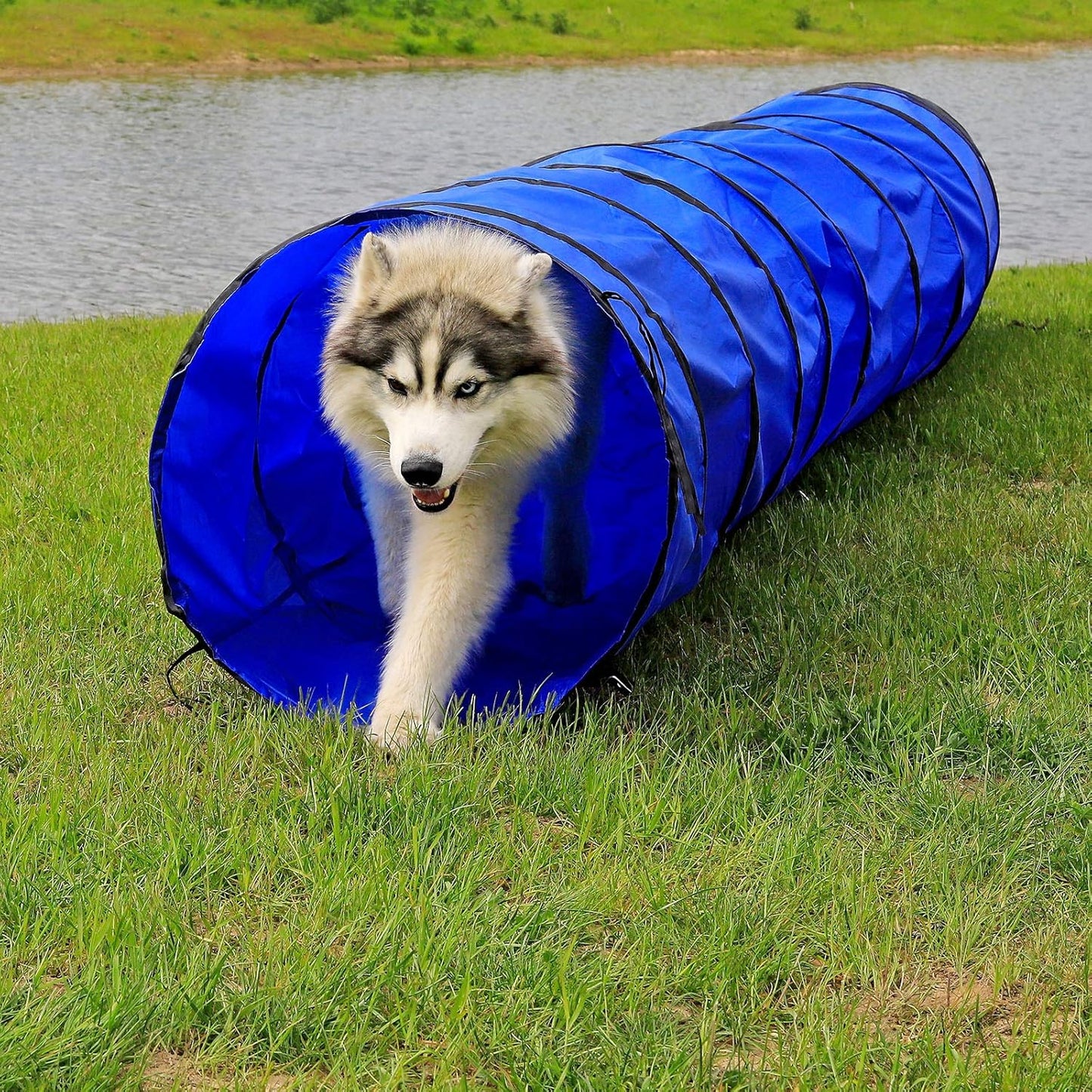 Agility Tunnel, 500x60 cm, Blau (L) 500x60 cm