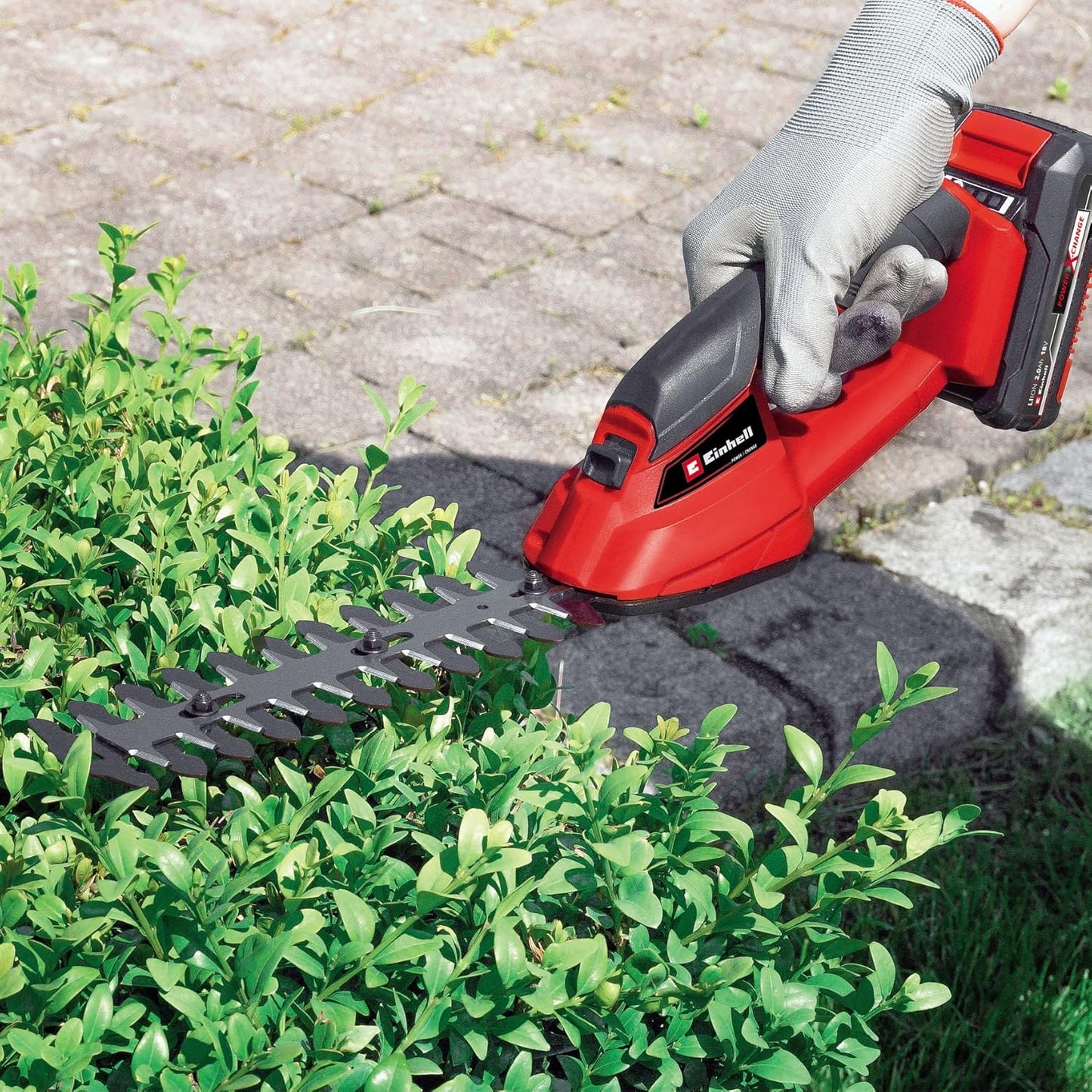 Gras- und Strauchschere GC-AGSS