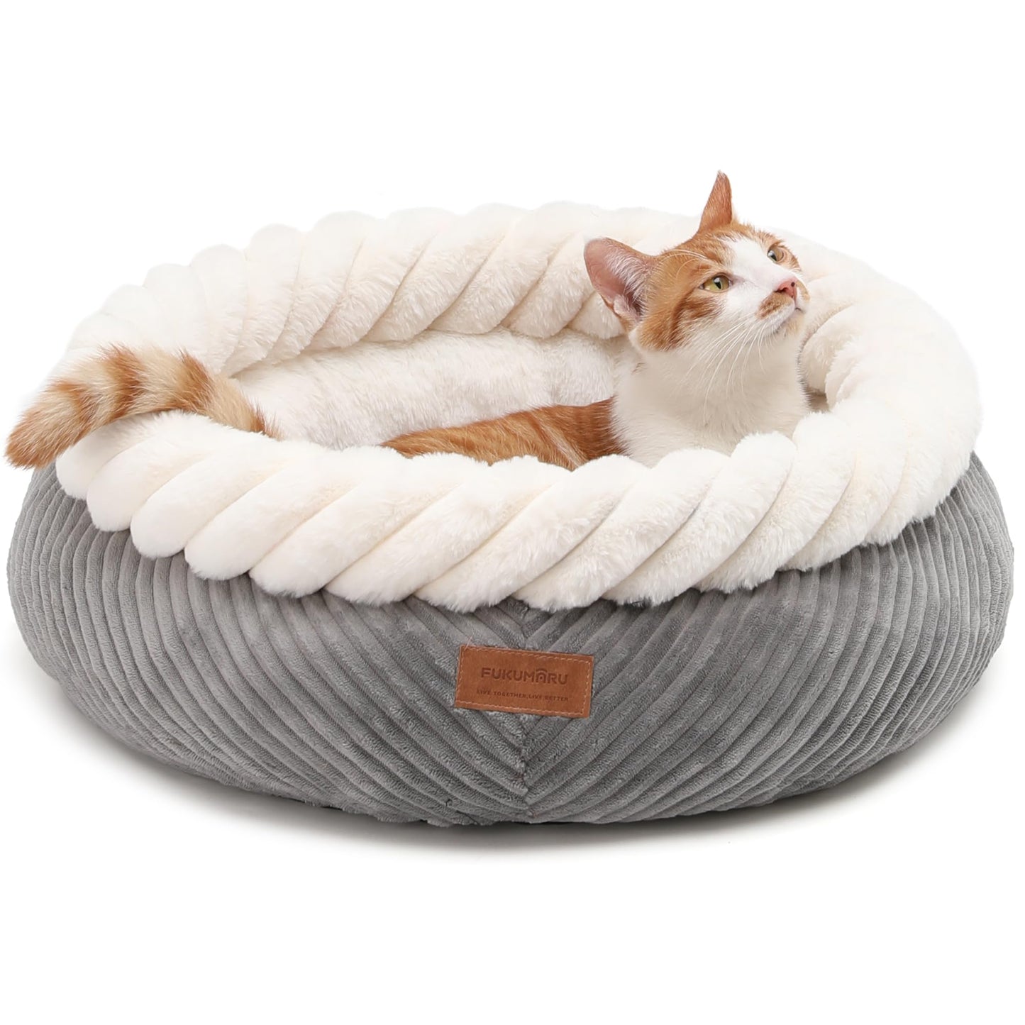 Waschbares Katzenbett mit erhöhtem Rand, rutschfest, L 55 x B 55 x H 21 cm Grau