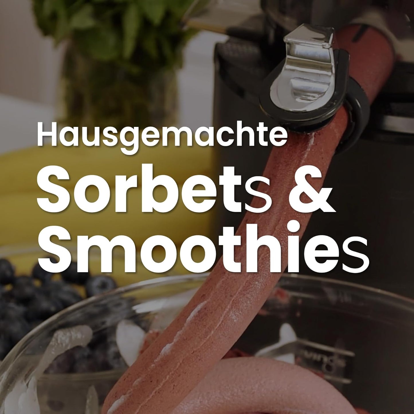 Slow Juicer REVO830, Mattschwarz