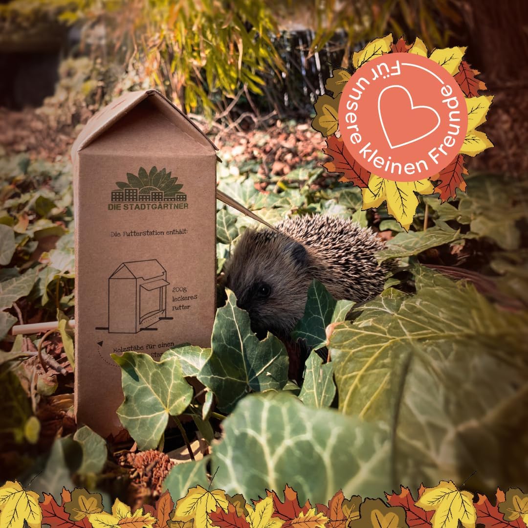 6-teiliges Tierfutter Geschenkset mit Futterhäuschen für Vögel, Igel und Eichhörnchen